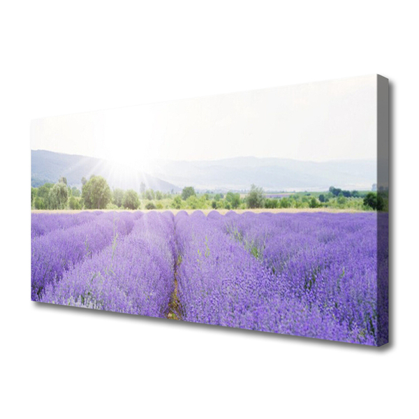 Tablou pe panza canvas Flori Meadow Natura Purple