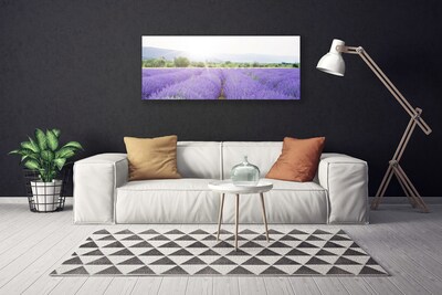 Tablou pe panza canvas Flori Meadow Natura Purple