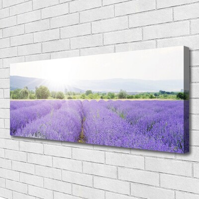 Tablou pe panza canvas Flori Meadow Natura Purple