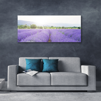 Tablou pe panza canvas Flori Meadow Natura Purple