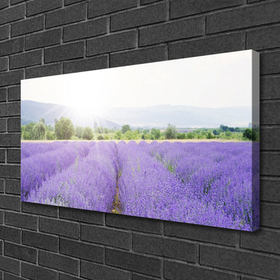 Tablou pe panza canvas Flori Meadow Natura Purple