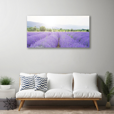 Tablou pe panza canvas Flori Meadow Natura Purple