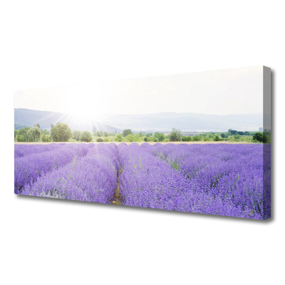 Tablou pe panza canvas Flori Meadow Natura Purple