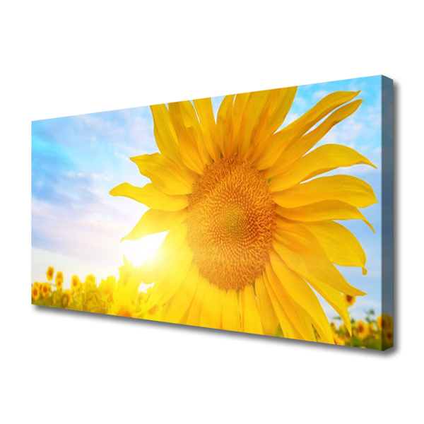 Tablou pe panza canvas Floarea soarelui Floral Galben