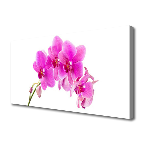 Tablou pe panza canvas Flori roz Floral