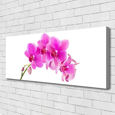 Tablou pe panza canvas Flori roz Floral