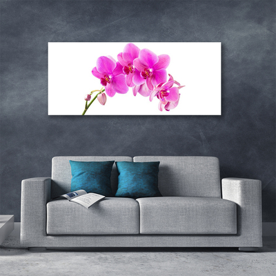 Tablou pe panza canvas Flori roz Floral