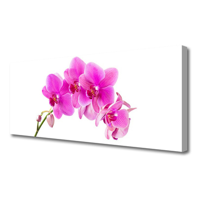 Tablou pe panza canvas Flori roz Floral