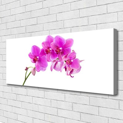 Tablou pe panza canvas Flori roz Floral