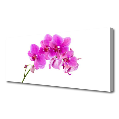 Tablou pe panza canvas Flori roz Floral