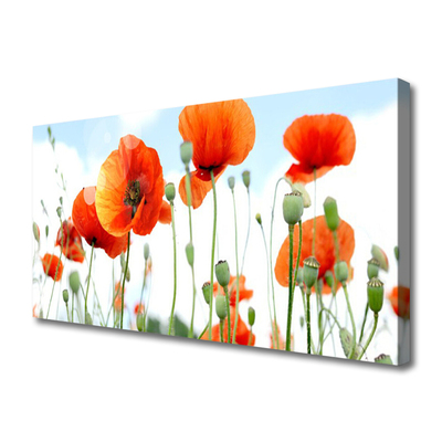 Tablou pe panza canvas Maci Floral Red