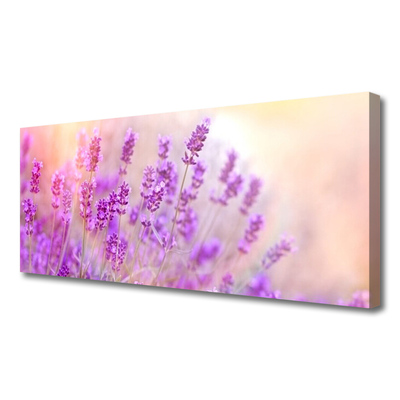 Tablou pe panza canvas Flori roz Floral