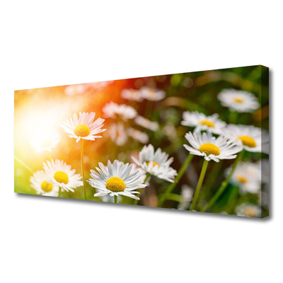 Tablou pe panza canvas Daisy Floral Galben Alb Verde