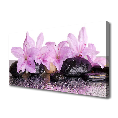 Tablou pe panza canvas Pietrele florale flori roz negru