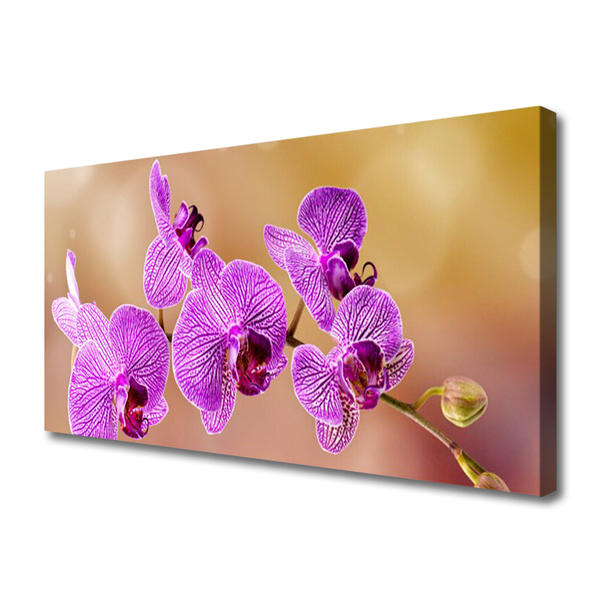 Tablou pe panza canvas Flori roz Floral