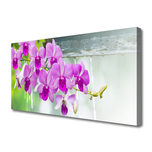 Tablou pe panza canvas Flori roz Floral