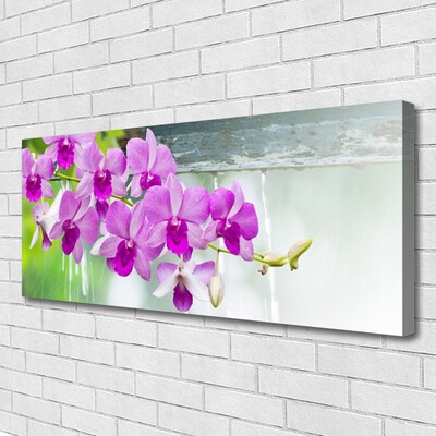 Tablou pe panza canvas Flori roz Floral