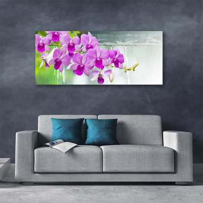 Tablou pe panza canvas Flori roz Floral