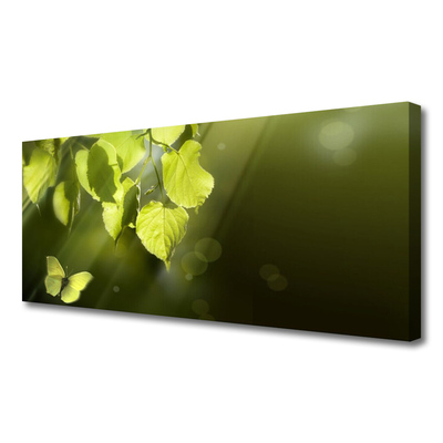 Tablou pe panza canvas Butterfly Frunze Natura verde