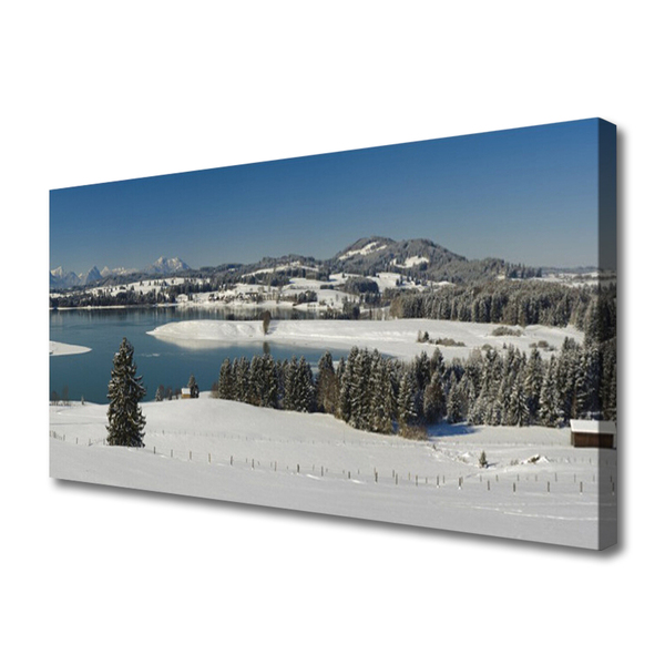 Tablou pe panza canvas Snow Lake Peisaj Forestier Albastru Alb Verde