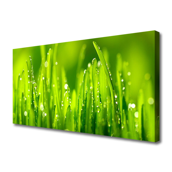 Tablou pe panza canvas Weed Natura verde