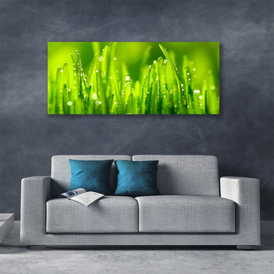 Tablou pe panza canvas Weed Natura verde