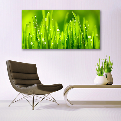 Tablou pe panza canvas Weed Natura verde