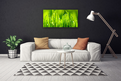 Tablou pe panza canvas Weed Natura verde