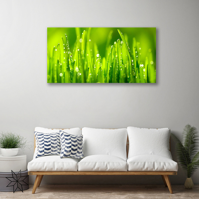 Tablou pe panza canvas Weed Natura verde