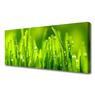 Tablou pe panza canvas Weed Natura verde