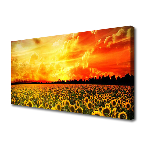 Tablou pe panza canvas Meadow Sunflowers Floral Verde Galben Maro