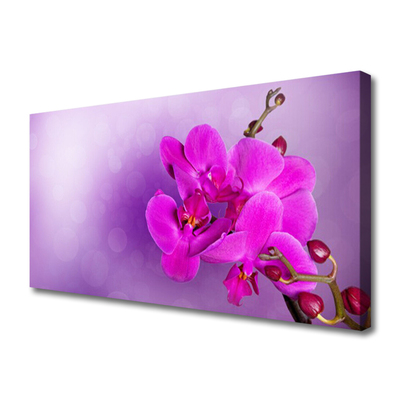 Tablou pe panza canvas Flori roz Floral