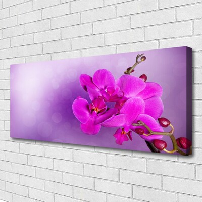 Tablou pe panza canvas Flori roz Floral