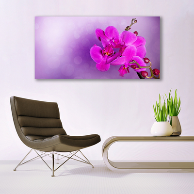 Tablou pe panza canvas Flori roz Floral