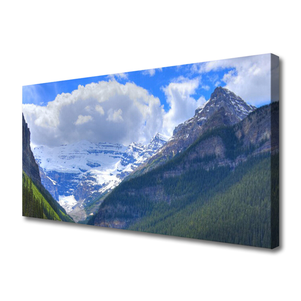 Tablou pe panza canvas Munții Peisaj Gri Albastru Alb Verde