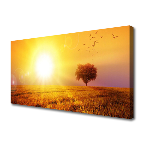 Tablou pe panza canvas Sun Meadow Peisaj Galben Maro