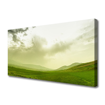 Tablou pe panza canvas Meadow Natura verde