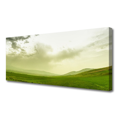 Tablou pe panza canvas Meadow Natura verde