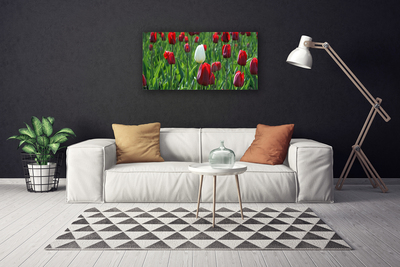 Tablou pe panza canvas Lalele Floral Roșu Alb Verde