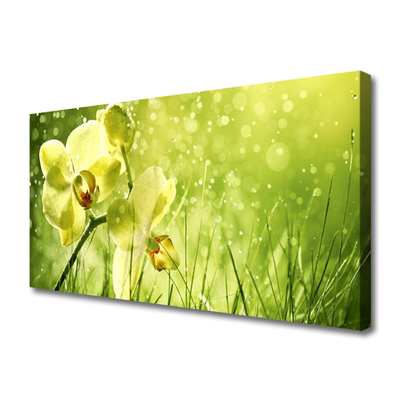 Tablou pe panza canvas Iarbă Flori Floral Verde