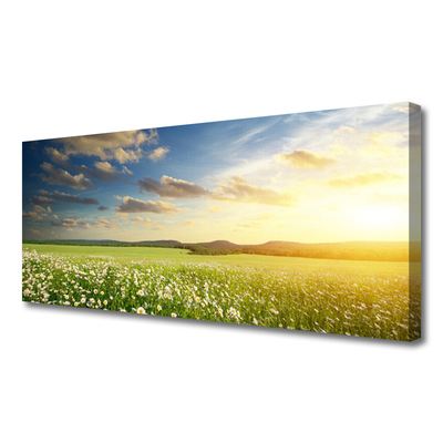 Tablou pe panza canvas Meadow Flori Peisaj Verde Alb