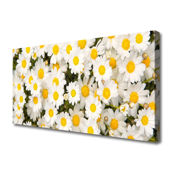 Tablou pe panza canvas Daisy Floral Galben Alb