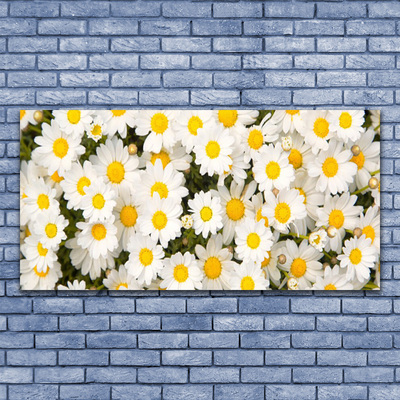 Tablou pe panza canvas Daisy Floral Galben Alb