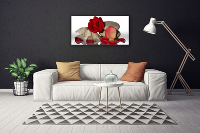 Tablou pe panza canvas Rose Conch pietre Art Roșu Alb Gri