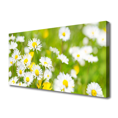 Tablou pe panza canvas Daisy Floral Galben Alb