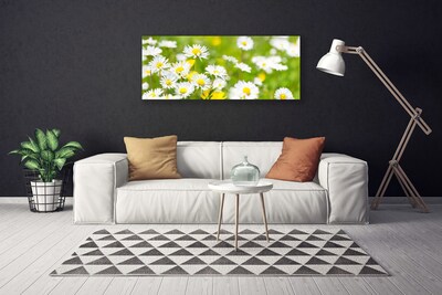 Tablou pe panza canvas Daisy Floral Galben Alb