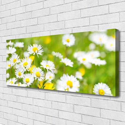 Tablou pe panza canvas Daisy Floral Galben Alb