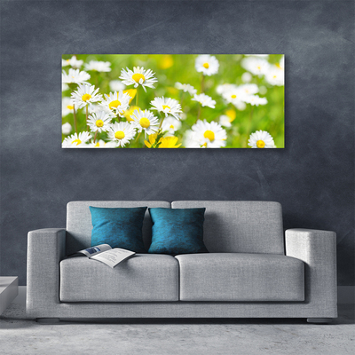 Tablou pe panza canvas Daisy Floral Galben Alb