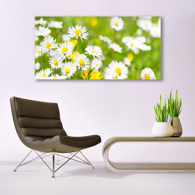 Tablou pe panza canvas Daisy Floral Galben Alb