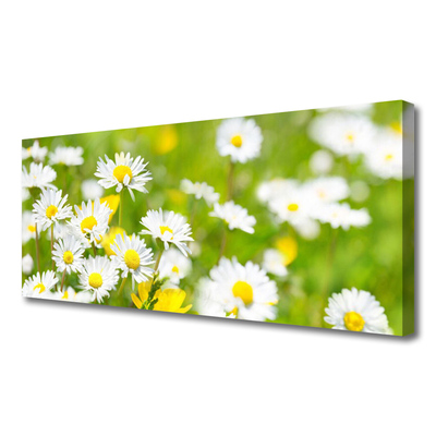 Tablou pe panza canvas Daisy Floral Galben Alb